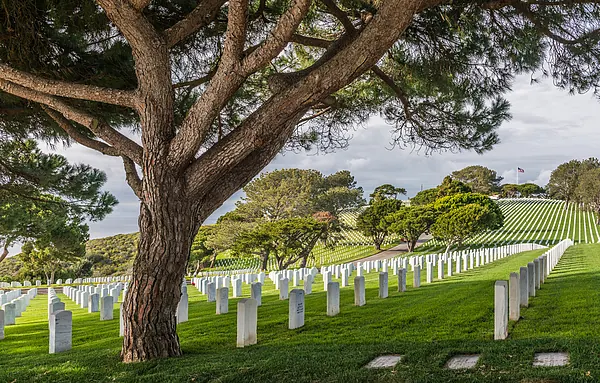 Cremation, Burial, Cemetery Plots, and Memorial Choices